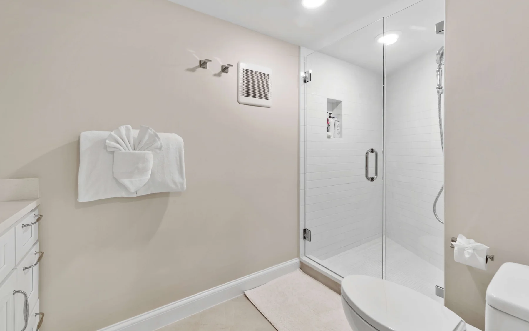 Lower-level bathroom with walk-in shower
